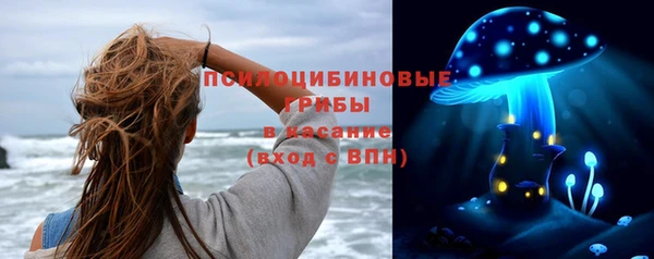 прущие крисы Аркадак