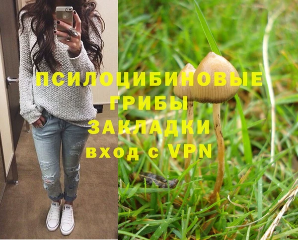 прущие крисы Аркадак