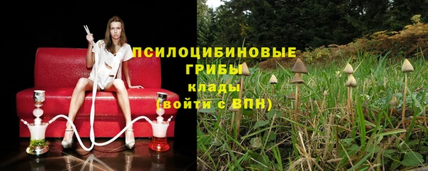 гидра Балабаново