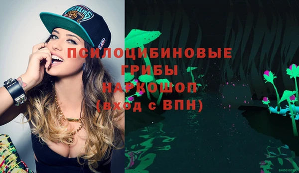 гидра Арсеньев