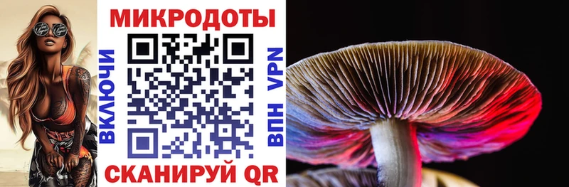 Галлюциногенные грибы GOLDEN TEACHER  Хилок 