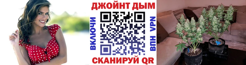 купить наркоту  Хилок  Канабис план 